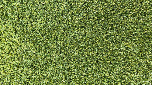 Pasto sintetico golf