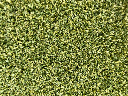 Pasto sintetico golf
