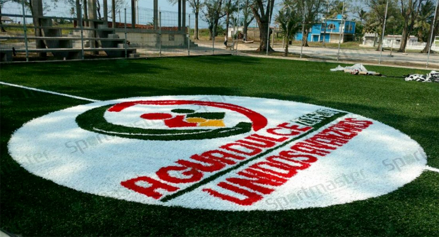 Canchas franjeado europeo