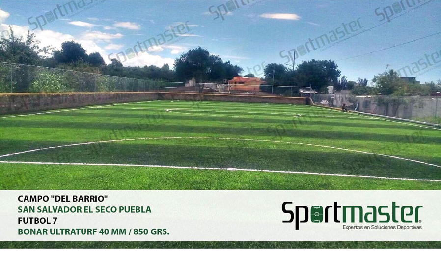 Canchas franjeado europeo 05