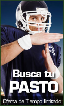 Busca tu Pasto - Oferta de Tiempo Limitado