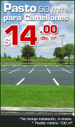 Pasto Sintetico 50 mm. para camellones $14.00 dólares el metro cuadrado