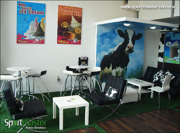 Galería de Área Verde de Pasto Sintético - foto 2