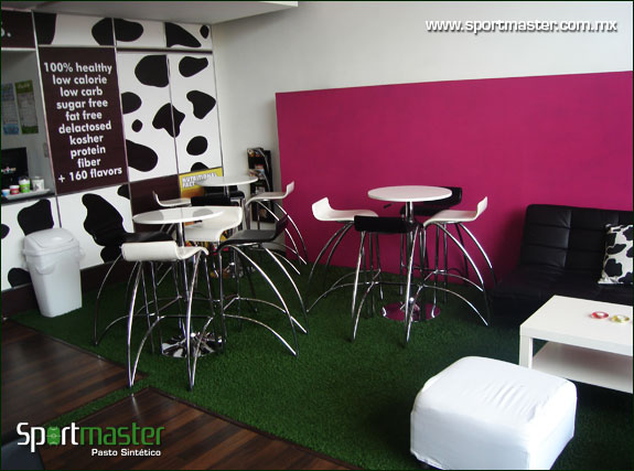 Galería de Área Verde de Pasto Sintético - foto 4