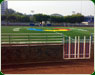 Pasto sintetico Bjuarez th