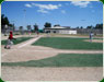 Pasto sintetico beisbol palacio combates1 th