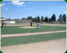 Pasto sintetico beisbol palacio combates3 th