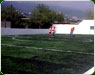 Pasto sintetico colegio mat th