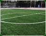 Pasto sintetico deportivo plan sexenal3 th