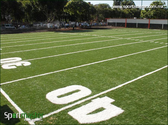 Galería de Campo de Futbol Americano de Pasto Sintético - foto 2