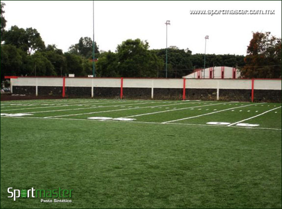 Galería de Campo de Futbol Americano de Pasto Sintético - foto 3