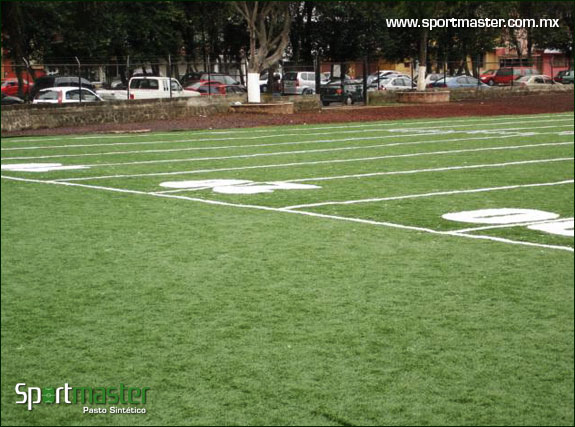 Galería de Campo de Futbol Americano de Pasto Sintético - foto 4