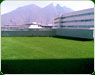 Pasto sintetico itesm1 th