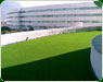 Pasto sintetico itesm5 th