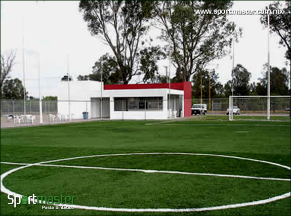 Pasto sintetico lapasion
