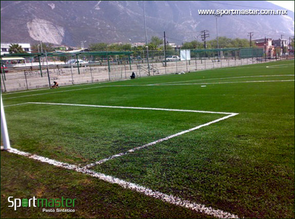 Pasto sintetico manuel clouthier1