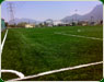 Pasto sintetico manuel clouthier3th