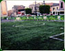 Pasto sintetico morelia sub17 1 th