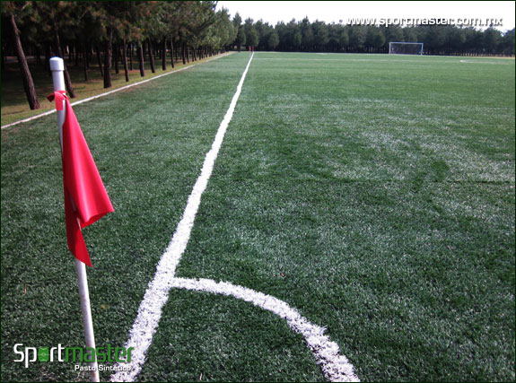 FUTBOL 7 - PARQUE AMBIENTAL BICENTENARIO - EDO. DE MEX - foto 2