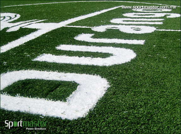 CANCHA DE SOCCER - PALACIO DE COMBATES - DURANGO - foto 3