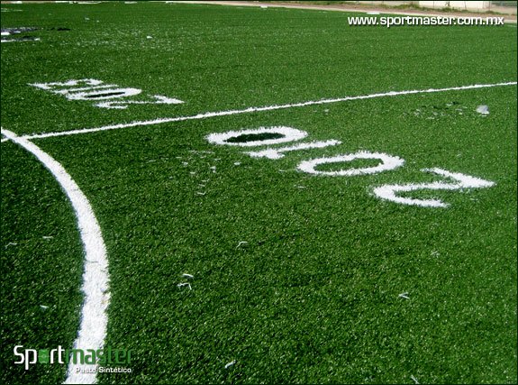 CANCHA DE SOCCER - PALACIO DE COMBATES - DURANGO - foto 5