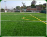 Pasto sintetico tlalpan5 th