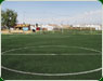 Pasto sintetico toluca1 th