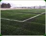 Pasto sintetico uaem4 th
