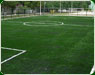 Pasto sintetico und nac1 th