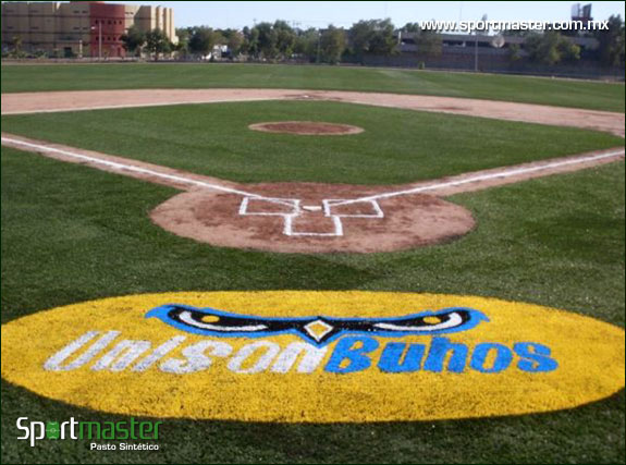 Galería de Campo de Beisbol de Pasto Sintético - foto 1