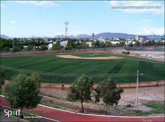 Galería de Campo de Beisbol de Pasto Sintético - foto 3