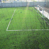 Pasto sintetico veracruz pgr