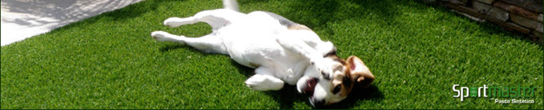 Otros · Pet Grass - foto 3