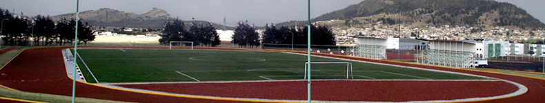 Sportmaster pastosintetico