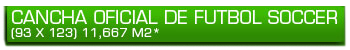 Cancha Oficial de Futbol Soccer (90 x 120)