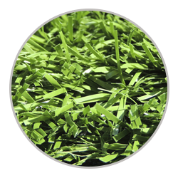 Pasto fibrilado